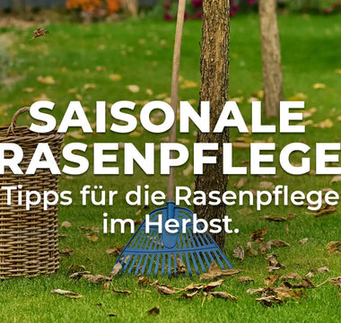 Saisonale Rasenpflege