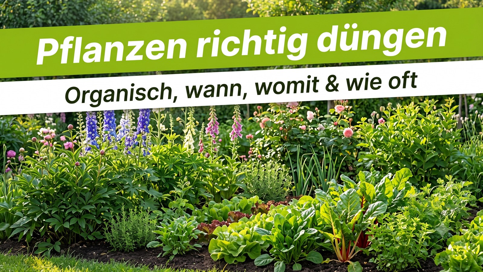 Üppiges Sommer-Gartenbeet mit gesunden Pflanzen – Banner Pflanzen richtig düngen, organisch, wann, womit und wie oft.