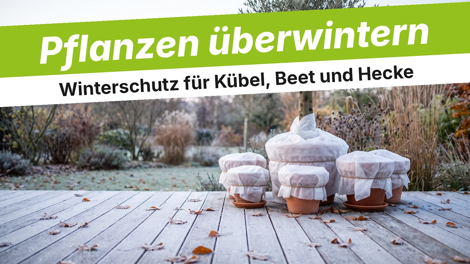 Kübelpflanzen auf der Terrasse mit Wintervlies geschützt