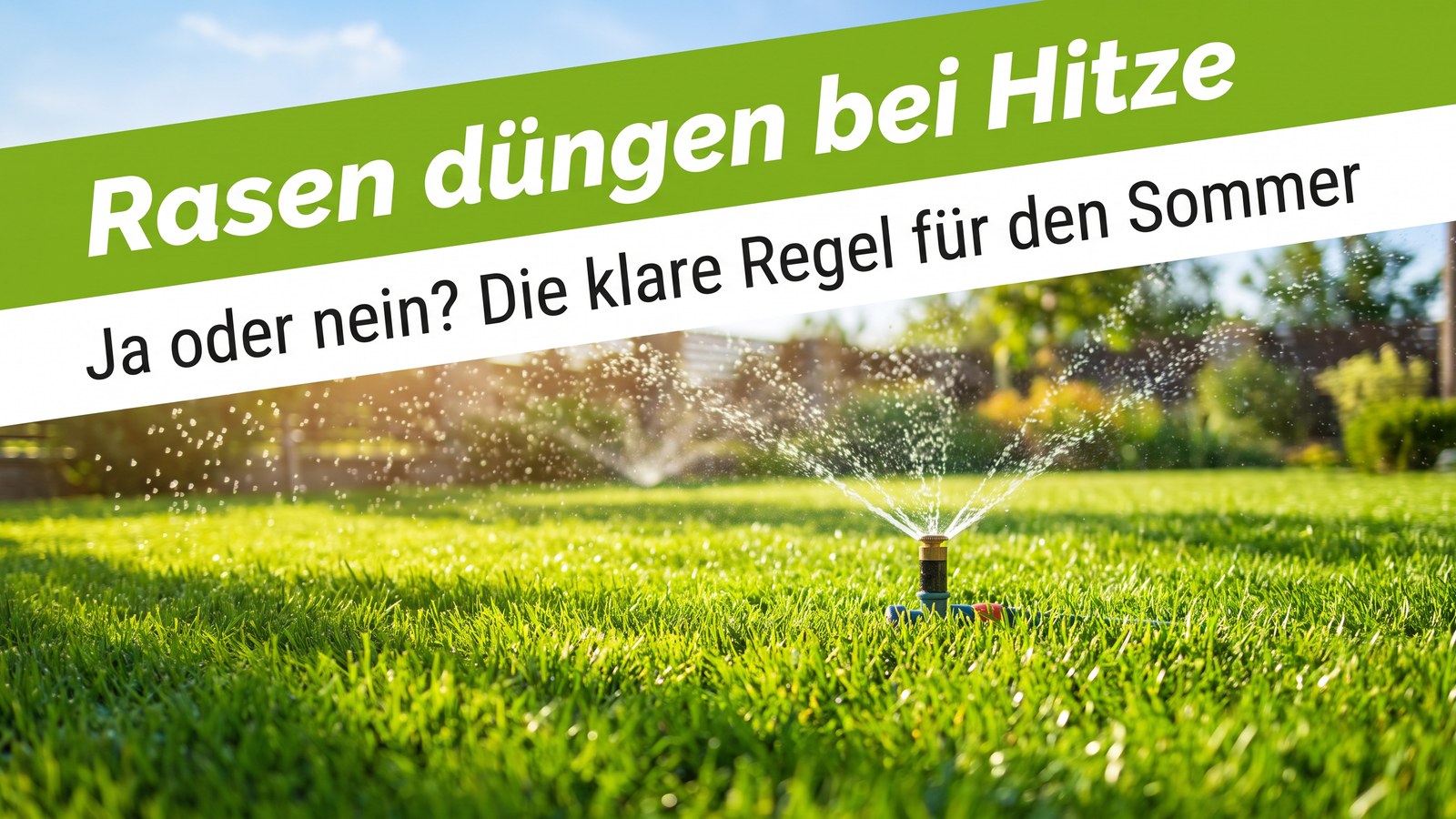 Sattgrüner Sommerrasen wird bei starker Hitze mit einem Sprinkler bewässert – Symbolbild zum richtigen Rasendüngen im Sommer.