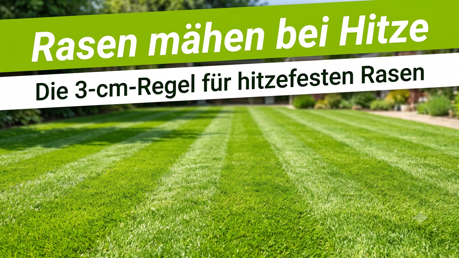 Frisch gemähter grüner Rasen mit sauberen Mähstreifen in der Sommersonne, Garten leicht unscharf im Hintergrund