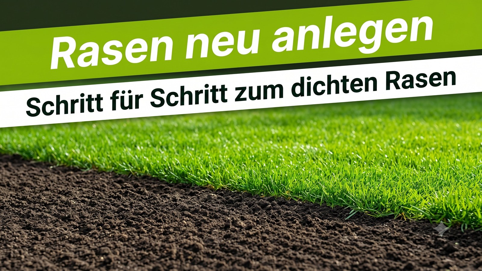 Frisch angelegter, dicht gekeimter Rasen auf vorbereitetem Boden – Schritt für Schritt zur Rasen-Neuanlage mit TerraUno