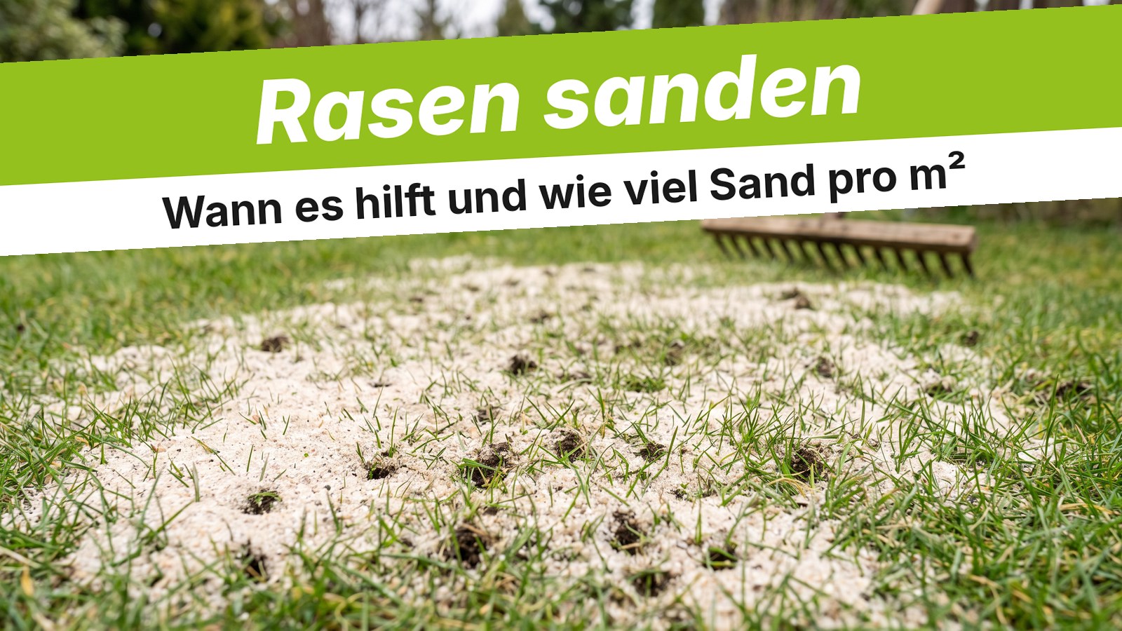 Quarzsand auf frisch aerifiziertem Rasen