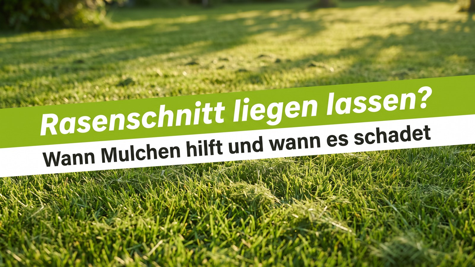 Banner Rasenschnitt liegen lassen: frisch gemähter grüner Rasen mit feinem Schnittgut zwischen den Halmen