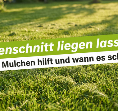 Banner Rasenschnitt liegen lassen: frisch gemähter grüner Rasen mit feinem Schnittgut zwischen den Halmen