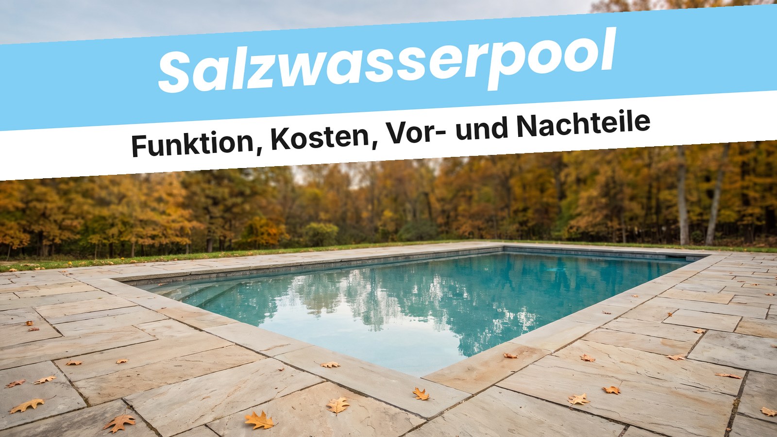 Eingelassener Pool mit klarem Wasser im Herbstgarten – Titelbild zum Ratgeber Salzwasserpool von TerraUno