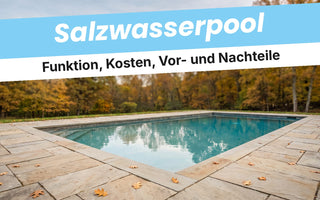 Eingelassener Pool mit klarem Wasser im Herbstgarten – Titelbild zum Ratgeber Salzwasserpool von TerraUno