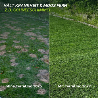 Ein geteiltes Bild zeigt zwei Rasenflächen: Auf der linken Seite ist lückiges, ungesundes Gras mit der Beschriftung „ohne TerraUno 2026“ zu sehen, während auf der rechten Seite üppiges, leuchtend grünes Gras mit der Beschriftung „mit TerraUno 2027“ zu sehen ist. Die leuchtende Farbe des rechten Rasens unterstreicht die Vorteile von TerraUno Premium – Herbst-Rasendünger mit seinem hohen Kaliumgehalt für eine optimale Rasenpflege im Herbst.