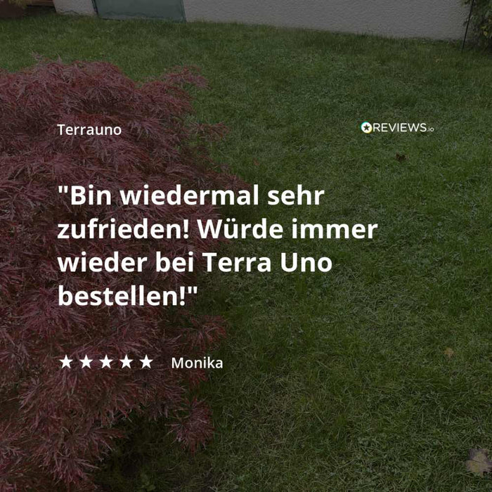 Kundenbewertung TerraUno Rasenkalk
