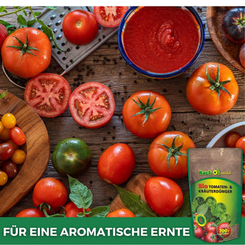 BIO - Tomaten- & Kräuterdünger 700g Dünger    TerraUno