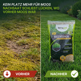 Split-Screen-Bild: links ein fleckiger, moosiger Rasen mit der Aufschrift Vorher; rechts ein saftiger, grüner Rasen mit der Aufschrift Nachher mit Terrauno Moosfrei Soforthilfe Set. Der Text darüber hebt erfolgreiche Moosbekämpfung und Rasenreparatur hervor.