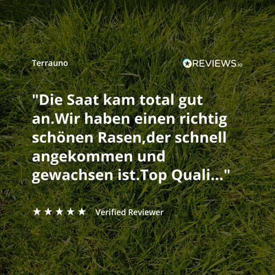 Kundenbewertung TerraUno Rasensamen
