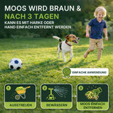 Ein Junge spielt lachend mit Hund und Ball auf einer Wiese. TerraUno Rasendünger mit Eisen - Mooslos Glücklich: In 3 Tagen wird Moos braun und lässt sich leicht entfernen - für einen tiefgrünen Rasen in drei Schritten. Jetzt im Angebot.