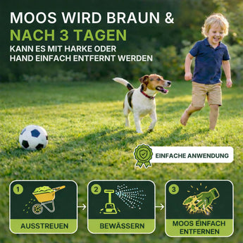 Ein Junge spielt lachend mit Hund und Ball auf einer Wiese. TerraUno Rasendünger mit Eisen - Mooslos Glücklich: In 3 Tagen wird Moos braun und lässt sich leicht entfernen - für einen tiefgrünen Rasen in drei Schritten. Jetzt im Angebot.