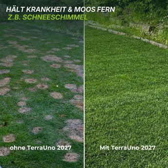 Doppelte Abbildung: Auf der linken Seite ist ein fleckiger, kranker Rasen mit der Beschriftung „Ohne TerraUno Herbst-Rasendünger-Set“ zu sehen. Auf der rechten Seite ist ein gesunder, grüner Rasen mit der Beschriftung „Mit TerraUno Herbst-Rasendünger-Set + GRATIS Unkrautvernichter“ zu sehen. Der Text darüber lautet: Schützt zuverlässig vor Krankheiten und Moos, z. B. Schneeschimmel. Perfekt in Kombination mit dem TerraUno Herbst-Rasendünger-Set oder zur Nachsaat – für einen dauerhaft robusten Rasen ganz