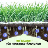 Premium - Herbst Rasendünger Product vendor