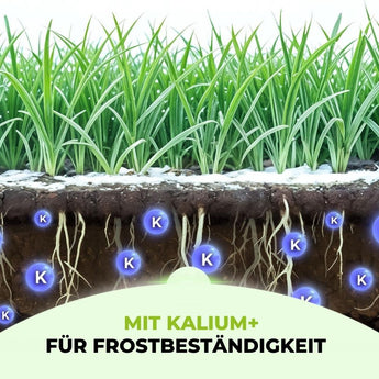 Premium - Herbst Rasendünger Product vendor