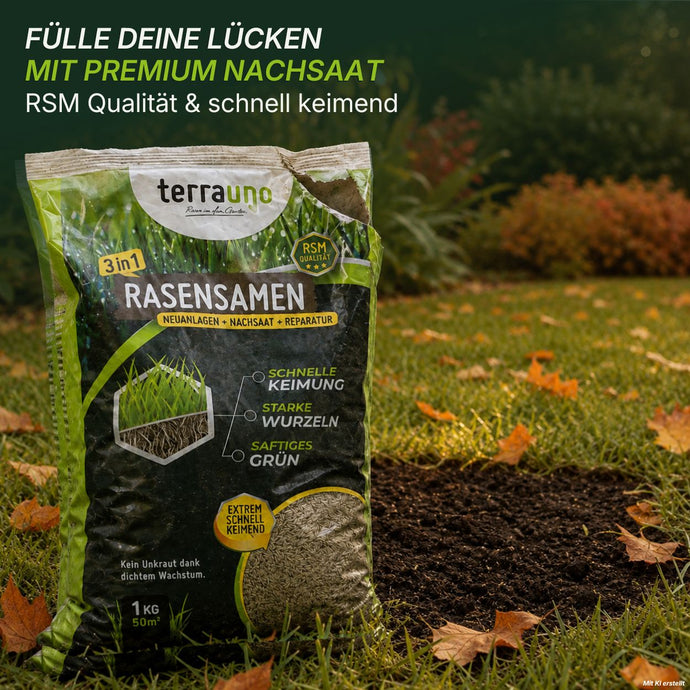 Ein Beutel „TerraUno Herbst-Rasendünger-Set + GRATIS Unkrautvernichter“ steht auf einem Rasen, vor dem sich eine Erdefläche befindet – ideal, um Ihren Rasen wiederzubeleben und dichter werden zu lassen. Auf der Verpackung werden Eigenschaften wie schnelle Keimung, kräftige Wurzeln und üppiges grünes Wachstum hervorgehoben. Im Hintergrund fällt Sonnenlicht durch die Bäume.