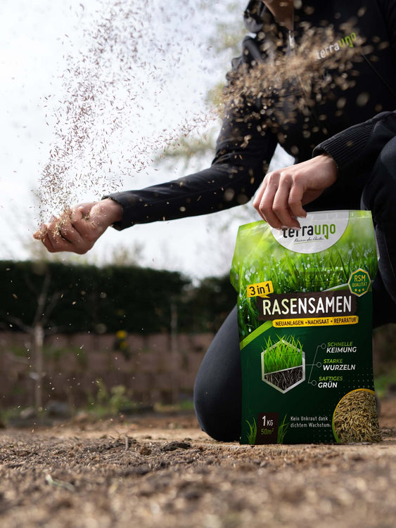 Aussaat der TerraUno Rasensamen