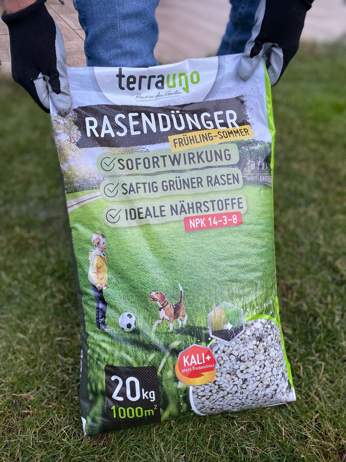 Traumrasen dank Dngen  dieser Frhjahrs-Trick verhilft tausenden Gar   Terrauno