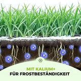 Premium - Herbst Rasendünger Product vendor