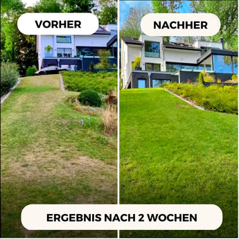 Rasendünger Sommer und Frühling TerraUno
