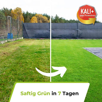 Rasendünger Sommer und Frühling TerraUno