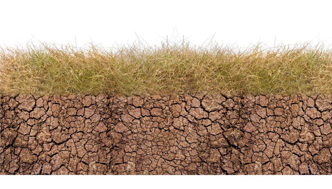 Vorher: rissiger, ausgetrockneter Boden mit dünnem Grasbewuchs