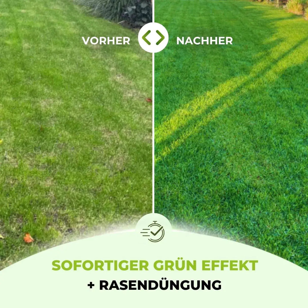 Speed Rasendünger N21 – Terrauno