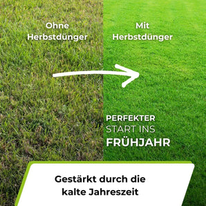 Salenti - Classic Herbstdünger - Kaufe 1 erhalte 2 Bundle    TerraUno