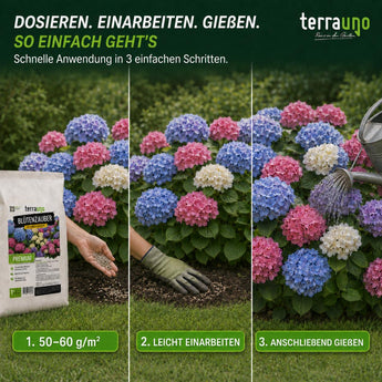 Anwendung Blütenzauber in 3 Schritten: Dosieren mit 50–60 g/m², leicht einarbeiten, anschließend gießen
