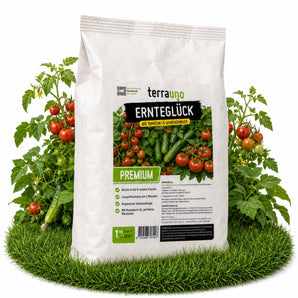 Anwendung Ernteglück in 3 Schritten: Dünger streuen, einarbeiten, gießen – so einfach düngst du Tomaten & Gemüse
