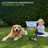 Ein Golden Retriever und ein Baby sitzen auf dem Rasen neben einer Tüte des TerraUno Frühlingsstarter-Sets; darüber steht ein Text auf Deutsch, der darauf hinweist, dass die Produkte für Menschen und Tiere unbedenklich sind. Die Szene verdeutlicht, wie eine sorgfältige Rasenpflege – einschließlich der Verwendung des TerraUno Frühlingsstarter-Sets – einen sicheren und einladenden Außenbereich für Familien und Haustiere gleichermaßen schaffen kann.