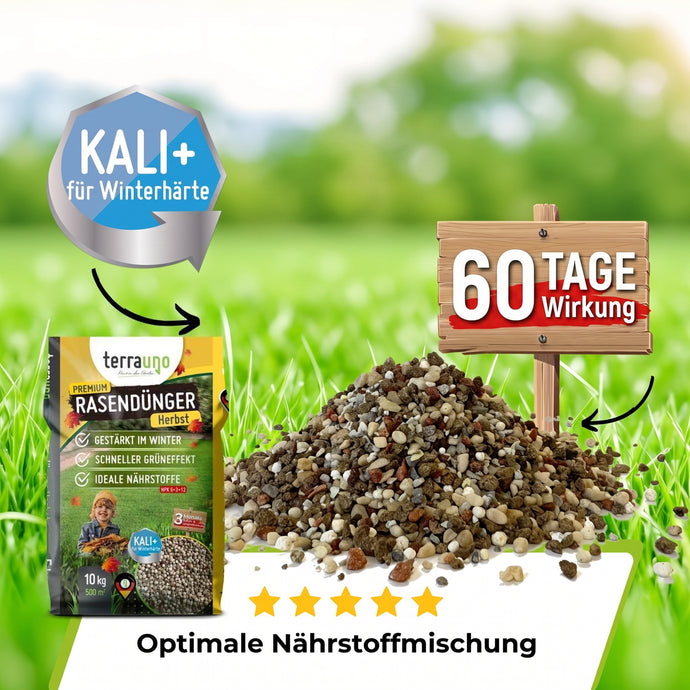 TerraUno Premium Herbst-Rasendünger NK 7+18 – Granulat mit Kalium Plus für Winterhärte, 60 Tage Wirkung
