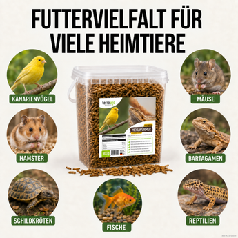 Auf einer durchsichtigen Verpackung von TerraUno Premium Mehlwürmern sind Bilder von Haustieren zu sehen, und der deutsche Text hebt hervor, dass es sich um ein proteinreiches Einzelfuttermittel und eine vielseitige Nahrung für viele Haustiere handelt.