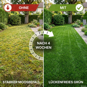 Ein Gartenvergleich zeigt nach vier Wochen links einen fleckigen, moosbedeckten Rasen OHNE und rechts einen üppigen, tiefgrünen Rasen MIT – ein Beleg dafür, dass „TerraUno Rasendünger mit Eisen – Mooslos Glücklich“ für eine wirksame Moosbekämpfung und einen sichtbar gesünderen Rasen sorgt.
