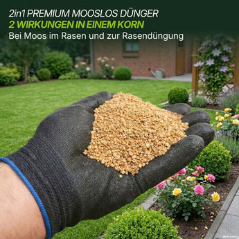 Eine behandschuhte Hand streut den Granulatdünger „TerraUno Rasendünger mit Eisen – Mooslos Glücklich“ über einen grünen Rasen und blühende Blumenbeete in einem Garten, im Hintergrund ist ein Haus zu sehen. Der Text beschreibt das Produkt als 2-in-1-Moosentferner und Rasendünger für Moosverdrängung und tiefgrünen Rasen.