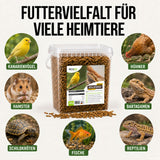 TerraUno Mehlwürmer für Heimtiere wie Kanarienvögel, Hamster, Schildkröten, Fische, Bartagamen und Reptilien