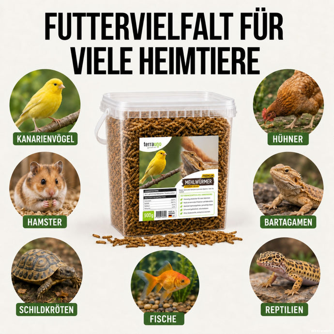 TerraUno Mehlwürmer für Heimtiere wie Kanarienvögel, Hamster, Schildkröten, Fische, Bartagamen und Reptilien