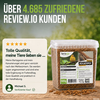 Kundenbewertung zu TerraUno Premium Mehlwürmern für Bartagame und Kanarienvogel – über 4.685 zufriedene Kunden