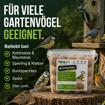 Meisenknödel für viele Gartenvögel: Kohlmeise, Blaumeise, Sperling, Kleiber, Buntspecht und Rotkehlchen am Futterplatz