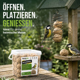 Kohlmeise frisst an TerraUno Meisenknödeln im Knödelhalter am Futterhaus