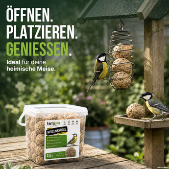 Kohlmeise frisst an TerraUno Meisenknödeln im Knödelhalter am Futterhaus