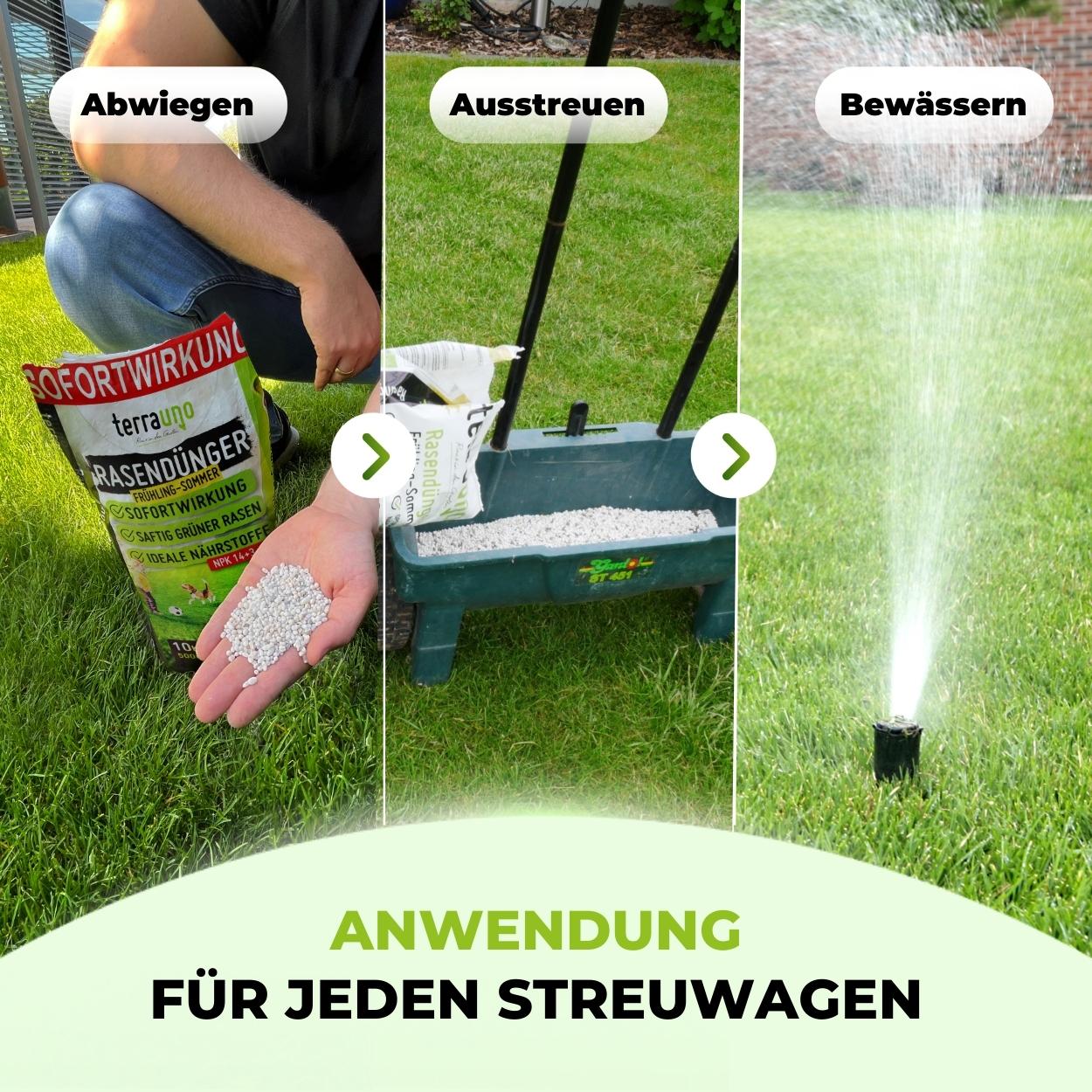 Rasendünger Frühjahr & Sommer für saftig grünen Rasen 🌞 Terrauno