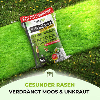 Rasendünger Sommer und Frühling Rasendünger TerraUno