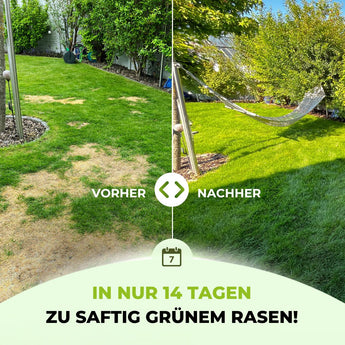 Rasendünger Sommer und Frühling Rasendünger TerraUno