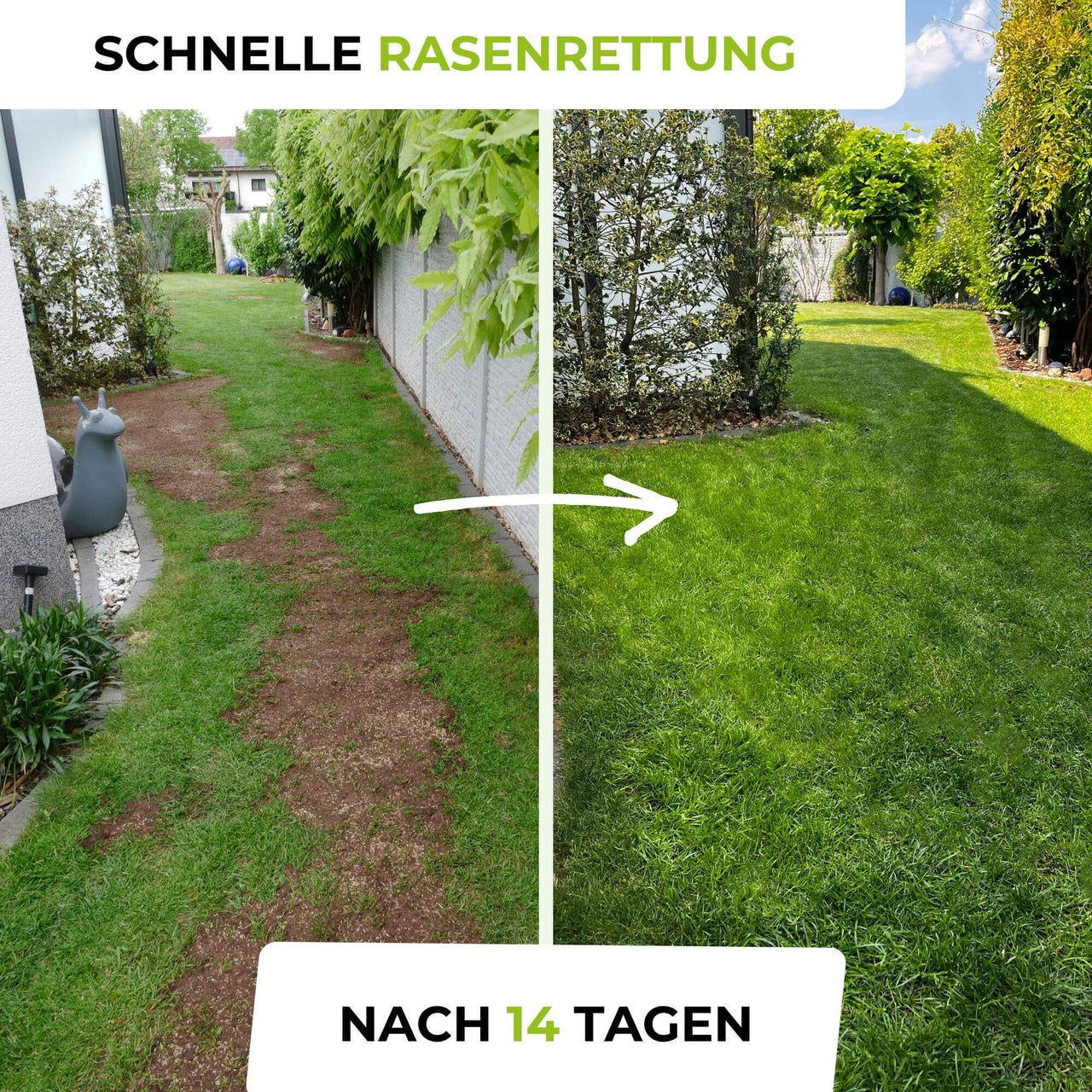 Chlorwasser Auf Rasen 1
