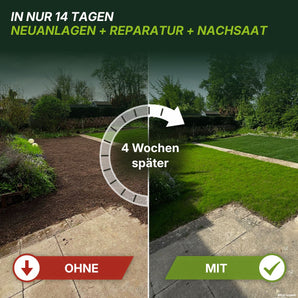 Seiten-an-Seiten-Vergleich eines Gartens: Auf der linken Seite ist nackter Boden mit der Beschriftung „OHNE“ zu sehen, auf der rechten Seite üppiges grünes Gras mit der Beschriftung „MIT“; darüber wirbt ein Text mit einer Rasenverbesserung in 14 Tagen – ideal zum Nachsäen oder zur Anlage neuer Rasenflächen mit TerraUno Rasenerde torffrei.
