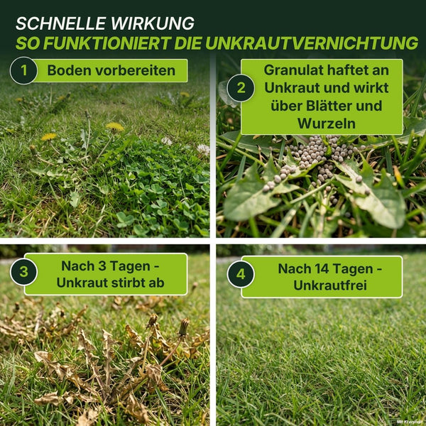 Ein vierstufiger Prozess zur Unkrautbekämpfung wird veranschaulicht: Erstens: Den Boden vorbereiten; zweitens: TerraUno Premium – Rasendünger mit Unkrautvernichter 22-5-5 in Granulatform direkt auf das Unkraut auftragen; drittens: Beobachten, wie das Unkraut nach drei Tagen abzusterben beginnt; und viertens: Nach 14 Tagen einen unkrautfreien Rasen genießen. Zu jedem Schritt gibt es ein entsprechendes Foto, das Gras und Unkraut zeigt.