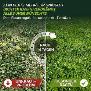 Ein Rasen ist in zwei Hälften geteilt: Auf der linken Seite sind lückiges Gras und Unkraut zu sehen, beschriftet mit „UNKRAUT-PROBLEM“; auf der rechten Seite ist ein üppiger, gesunder Rasen zu sehen, beschriftet mit „GESUNDER RASEN“. Der Text hebt die sichtbaren Ergebnisse nach 14 Tagen mit „TerraUno Premium – Rasendünger mit Unkrautvernichter 22-5-5“ für einen gesunden, dichten und unkrautfreien Rasen hervor.